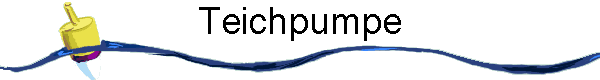 Teichpumpe