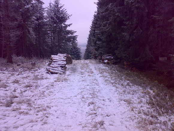 Erbeskopf