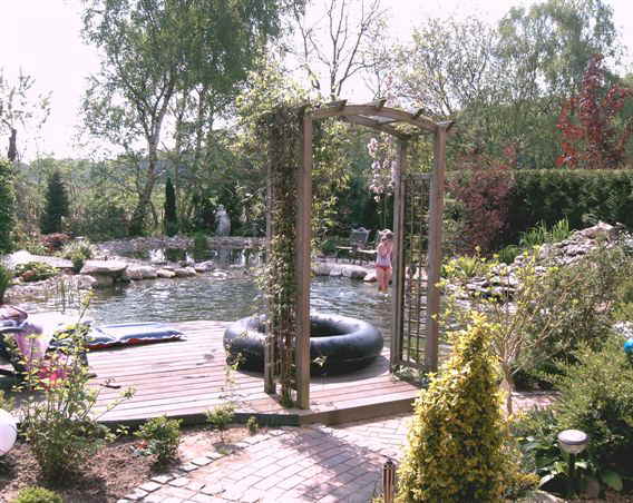 schwimmteich schwimmteich